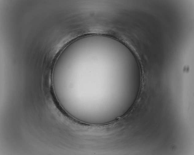 X0000111390011200907171257