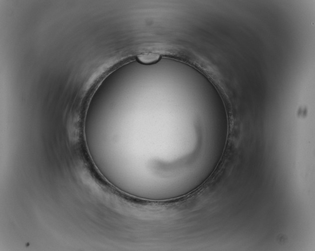 X0000111390012200907171257