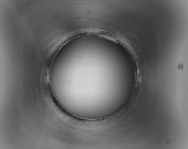 X0000111390013200907171257