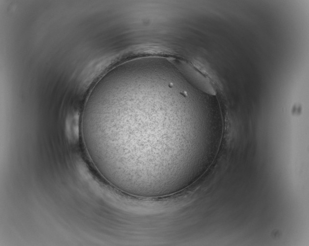 X0000111390014200907171257