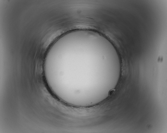 X0000111390015200907171257