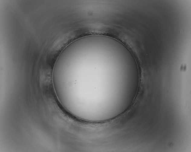 X0000111390017200907171257