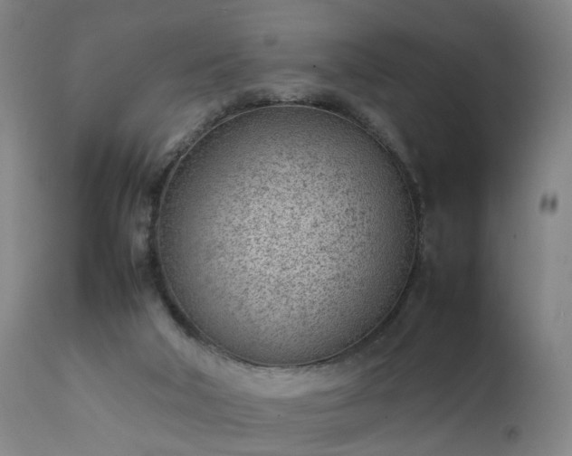 X0000111390018200907171257