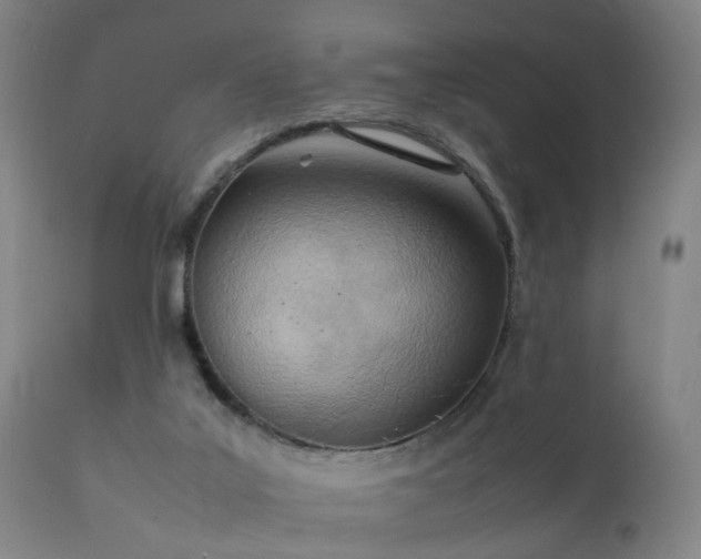 X0000111390019200907171257