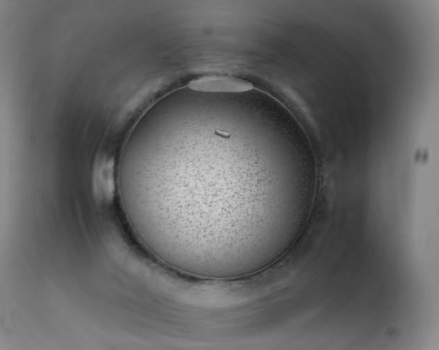 X0000111390020200907171257