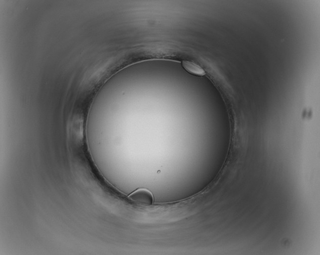 X0000111390021200907171257