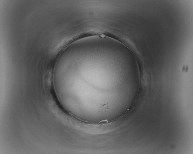 X0000111390023200907171257