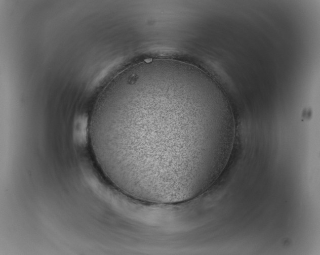 X0000111390024200907171257