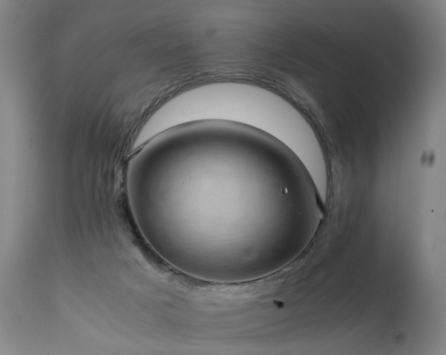 X0000111390025200907171257