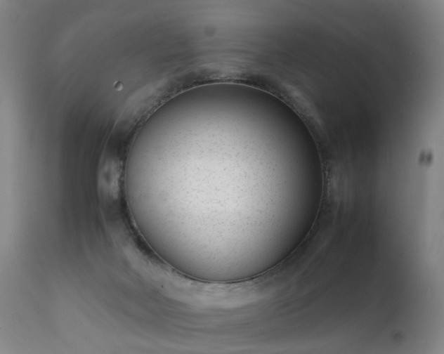 X0000111390026200907171257