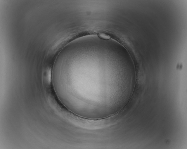 X0000111390027200907171257