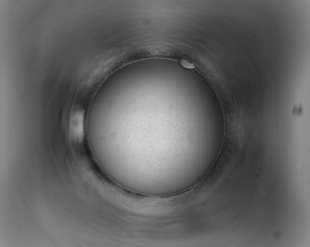 X0000111390028200907171257