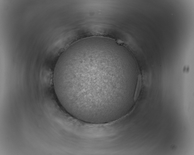 X0000111390029200907171257