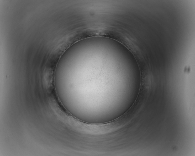 X0000111390030200907171256