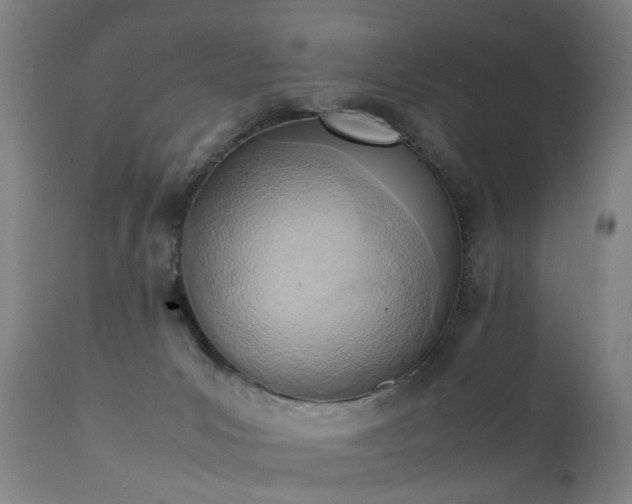 X0000111390031200907171256