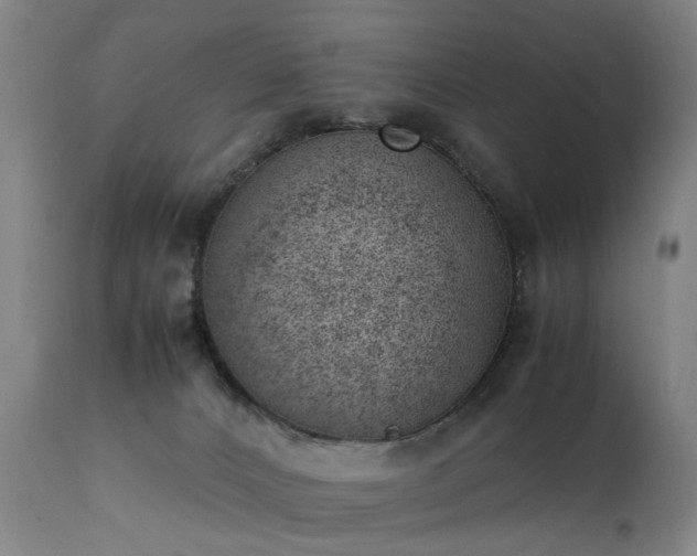 X0000111390032200907171256