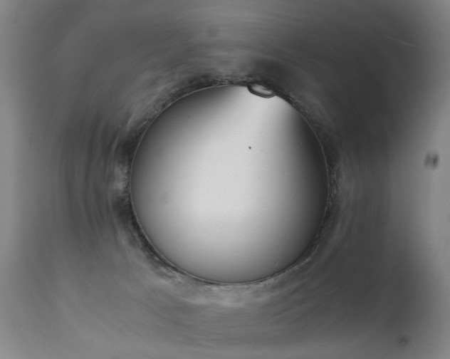 X0000111390033200907171256