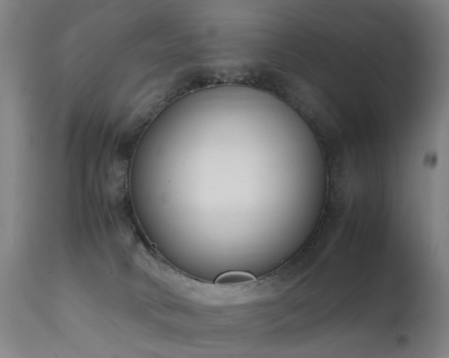 X0000111390034200907171256