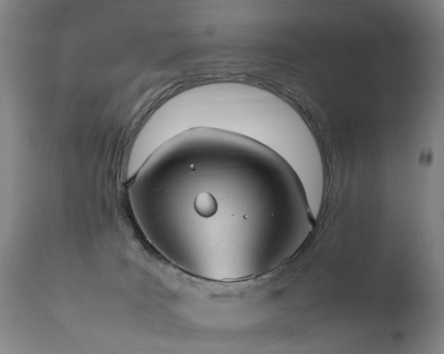 X0000111390035200907171256