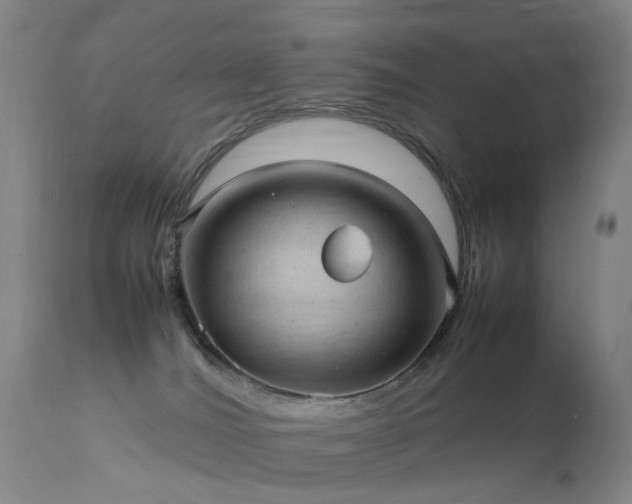 X0000111390036200907171256