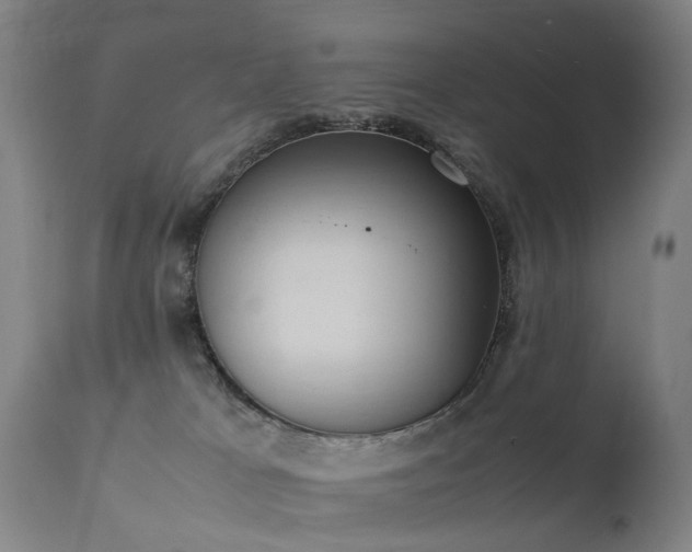 X0000111390037200907171256