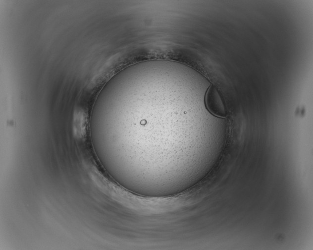 X0000111390038200907171256