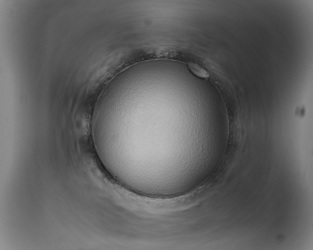 X0000111390039200907171256