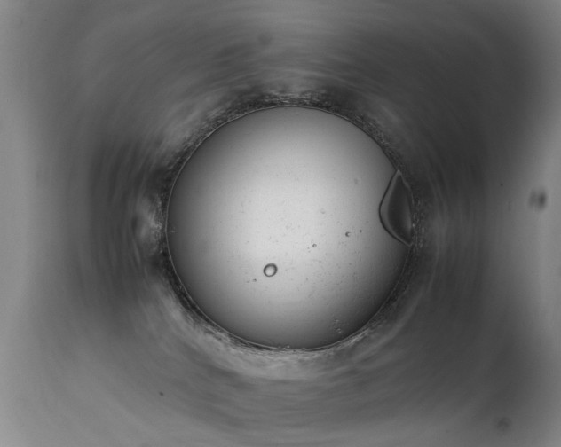 X0000111390040200907171256