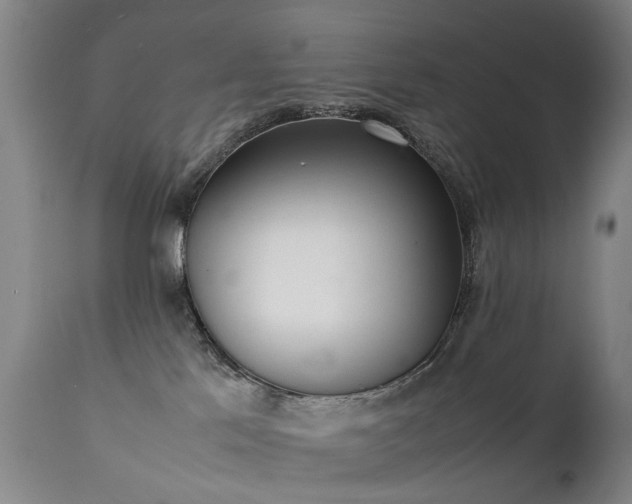 X0000111390041200907171256