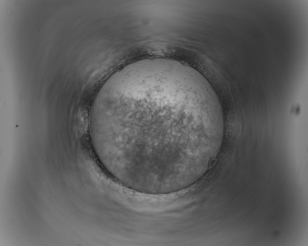 X0000111390043200907171256