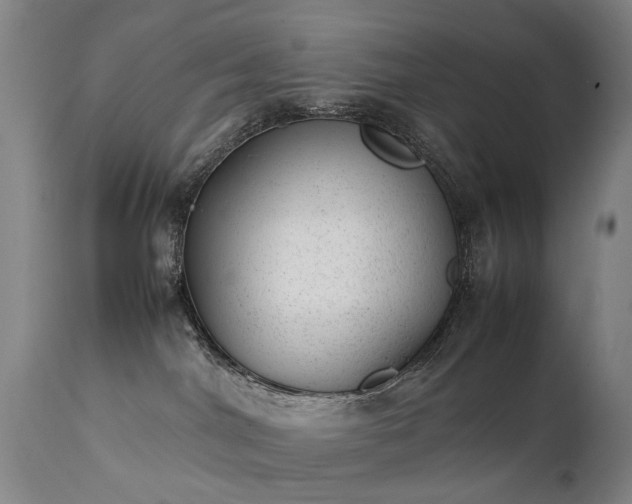 X0000111390044200907171256