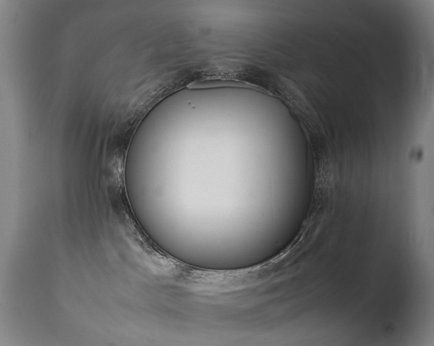 X0000111390045200907171256