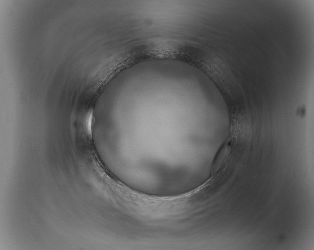 X0000111390047200907171256