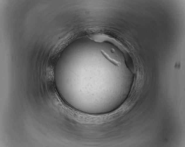 X0000111390048200907171256