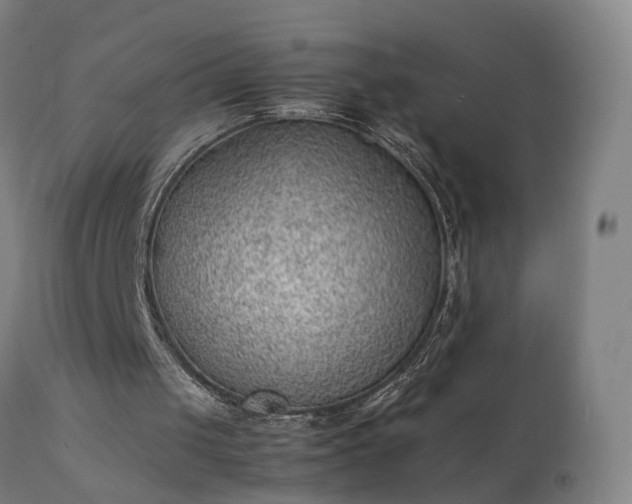 X0000111390049200907171256