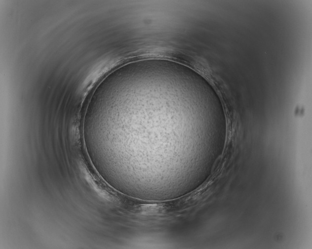 X0000111390050200907171256