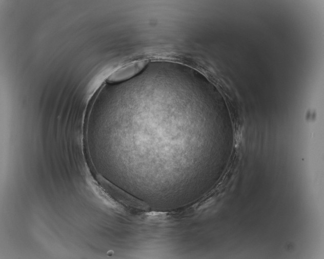 X0000111390052200907171256