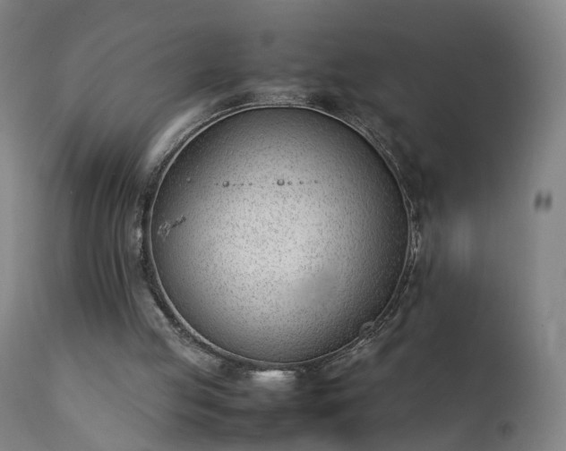 X0000111390053200907171256