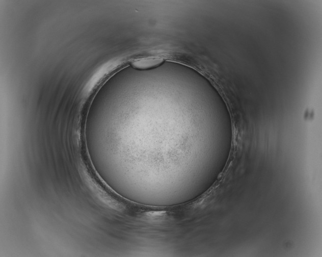 X0000111390054200907171256