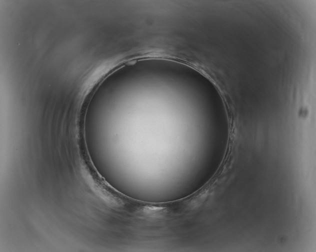 X0000111390055200907171256