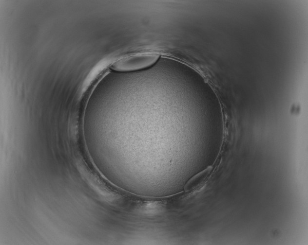 X0000111390056200907171256