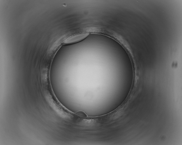 X0000111390057200907171256