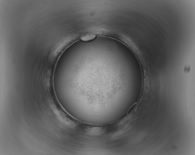 X0000111390058200907171256