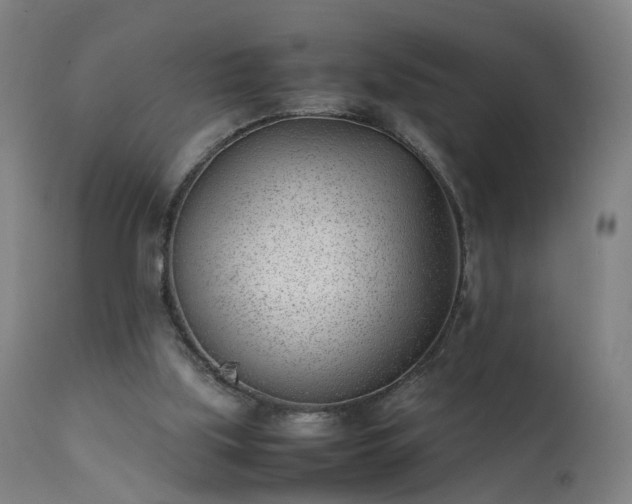 X0000111390059200907171256