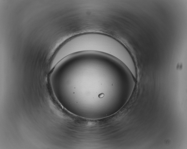 X0000111390060200907171256