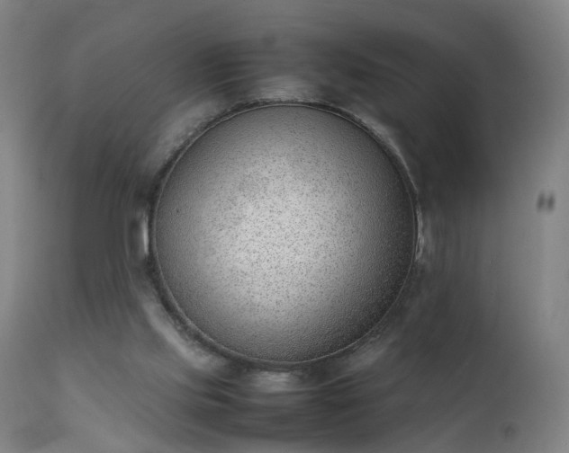 X0000111390061200907171256