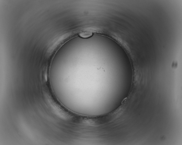 X0000111390062200907171256