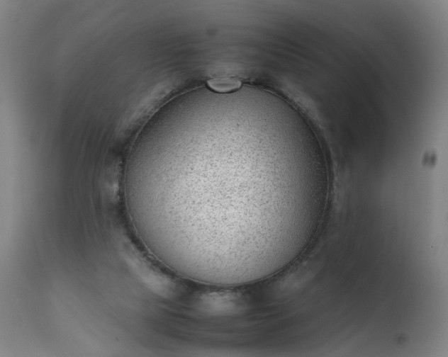 X0000111390065200907171256