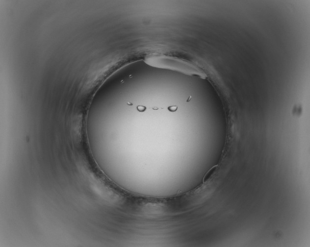 X0000111390066200907171256