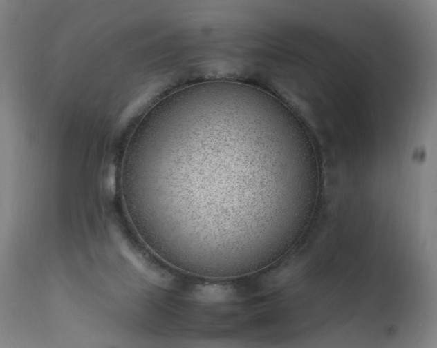 X0000111390067200907171256